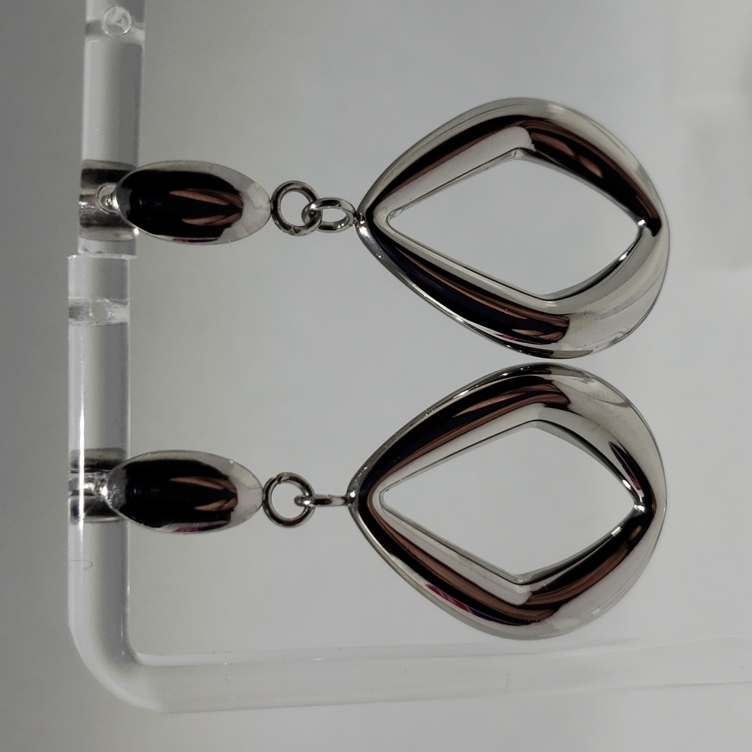 Stainless Steel Earrings 30$